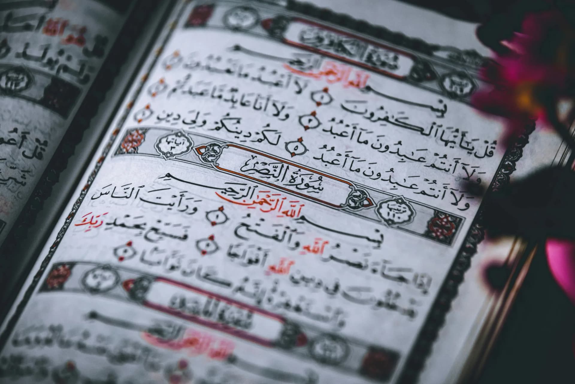 Quran Memorization (Hifz)