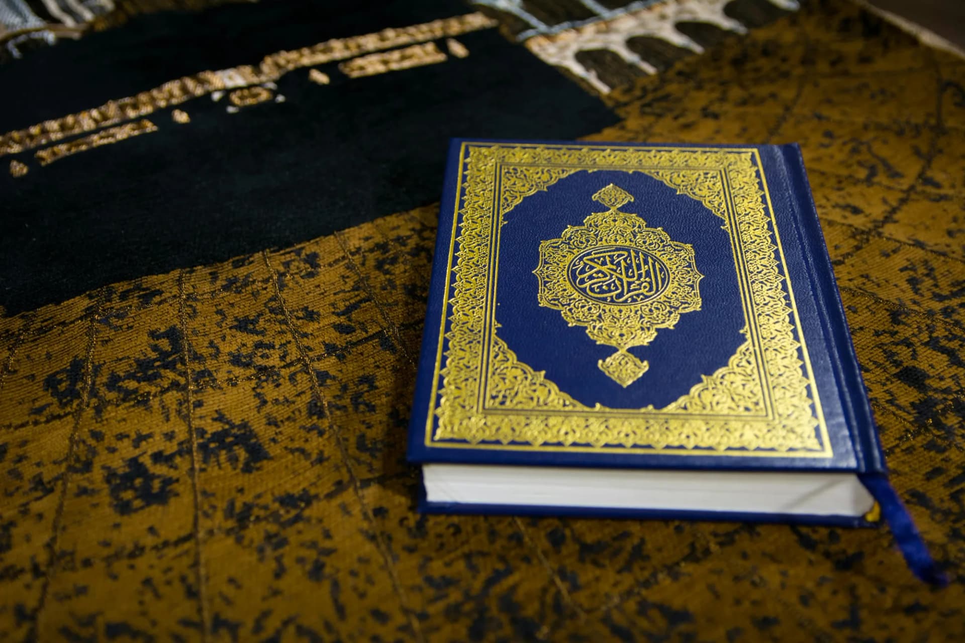 Arabic Language